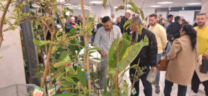 Jornadas técnicas subtropicales